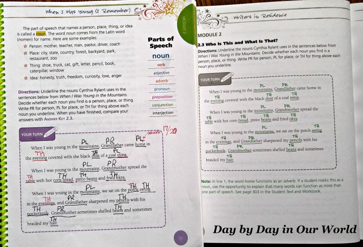 Multiple Approaches to Language Arts in 2017 | Day By Day in Our World